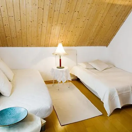 8 4 Apartment Bregenz