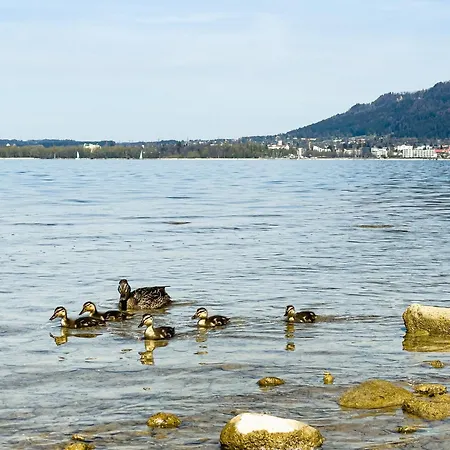 8 4 Bregenz